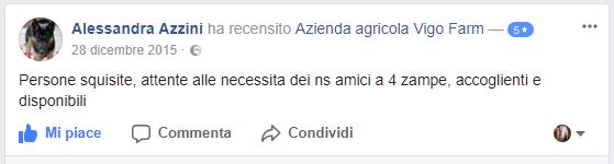 Dice di noi Alessandra Azzini