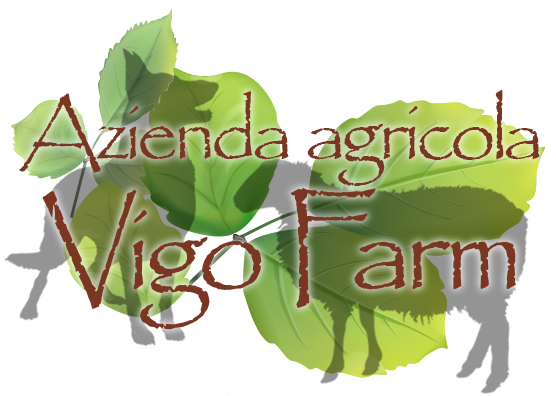 Azienda agricola Vigo Farm